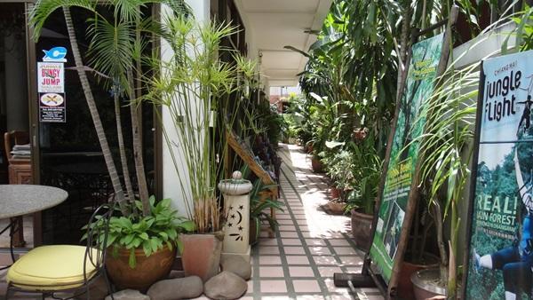 The Red Hibicus Guest House Chiang Mai Exteriör bild
