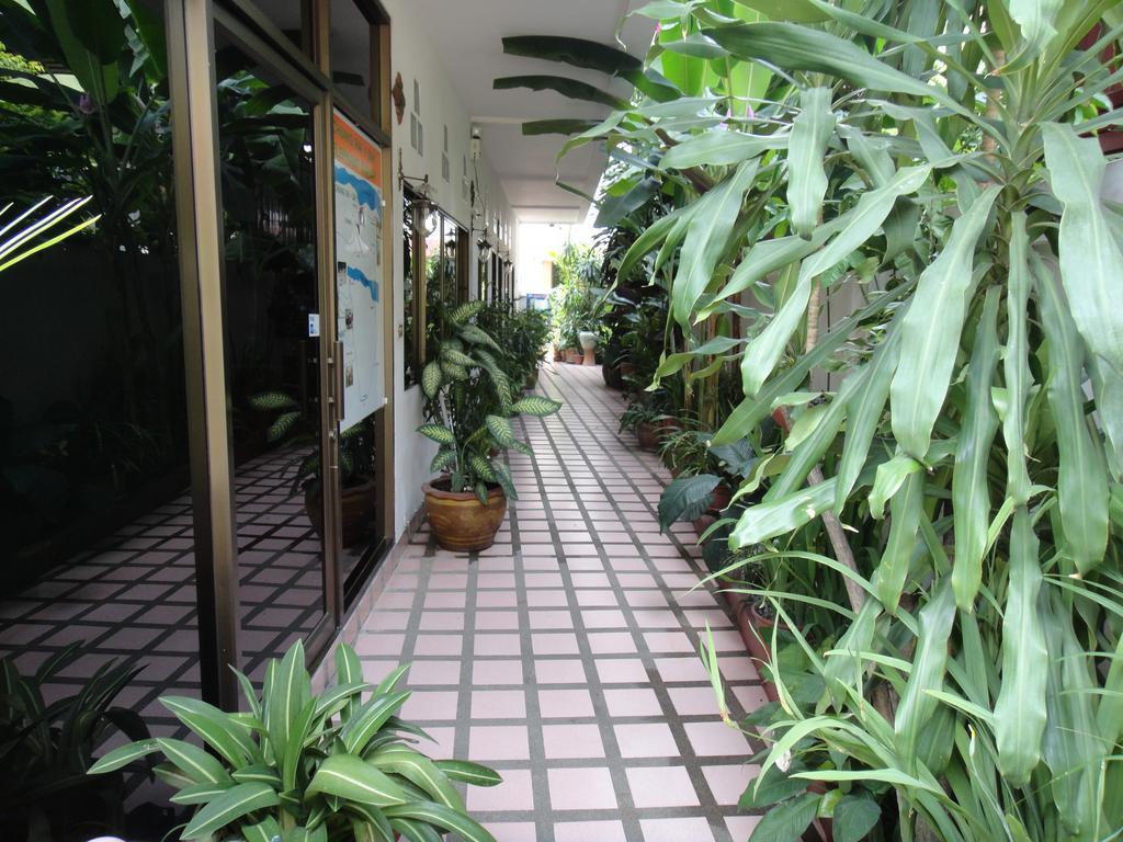 The Red Hibicus Guest House Chiang Mai Exteriör bild
